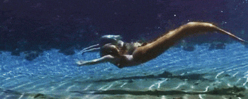 H2O Mermaids - Mako - Simply Mermaid Following the success