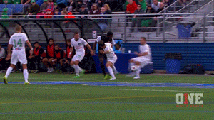 GIF: USA-s puhastatakse palli nii