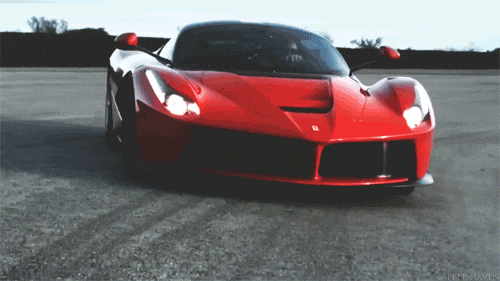 this gif has everything: cute, wow, car, crazy!