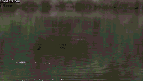 motion (395) Animated Gif on Giphy