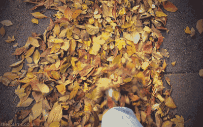 fall animated GIF