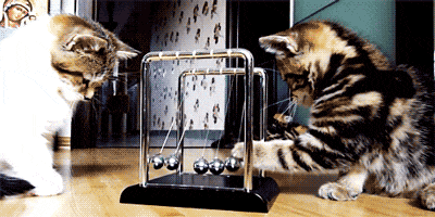  Animated Gif on Giphy