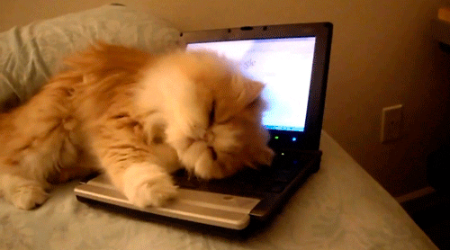 source: imgur.com