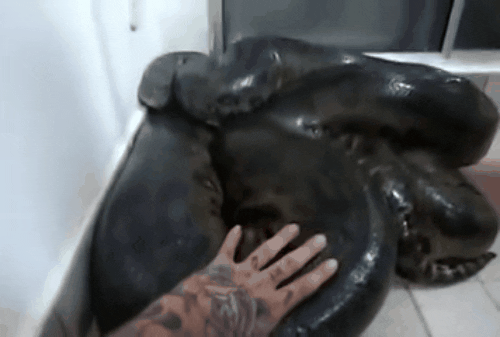 source: imgur.com