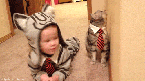 source: imgur.com