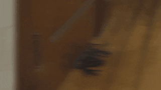 source: imgur.com