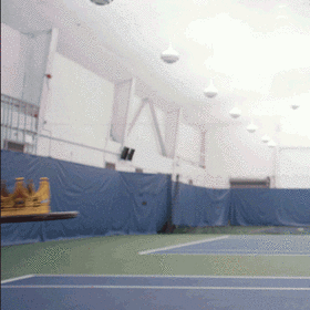 Wta GIF - Find & Share on GIPHY
