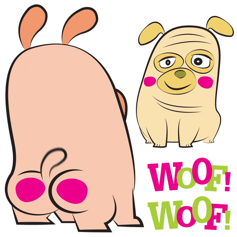 happy dog gif by tim