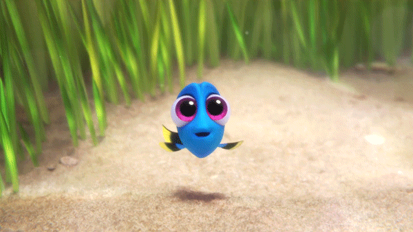 finding dory gif by disney/pixar"s finding dory