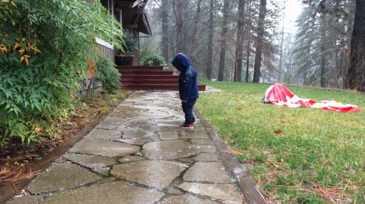 Rain Falling GIF - Find & Share on GIPHY