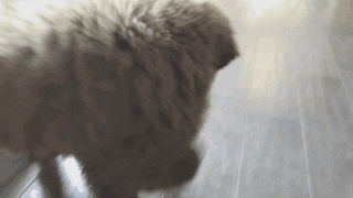 source: imgur.com