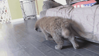 source: imgur.com