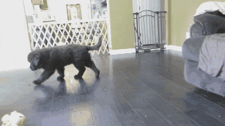 source: imgur.com