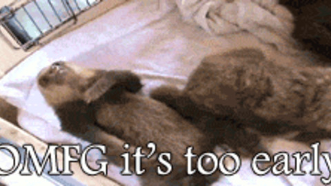 good morning god gif images for whatsapp good morning god gif images for whatsapp
