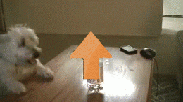 reaching