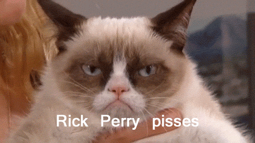 shortener shorten christmas bill gif dimensions: 500x281 size