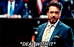 deal with it gif robert Downing Jr.