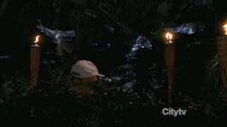giphy.gif