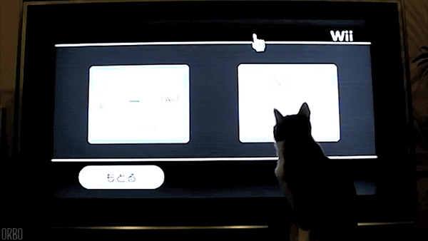 sofa comfort gif - find & share on giphy