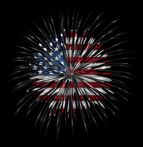 free animated fireworks clipart - photo #29