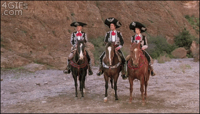 CABALLO GIFS caballo gifs: