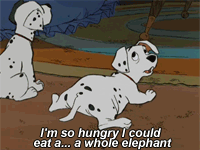 this gif has everything: dog, food, hungry, elephant!