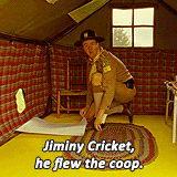 giphy.gif