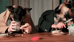 Dogs eating