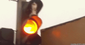 cat driving traffic accidents red light animated GIF