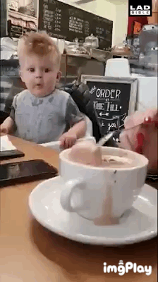 Omg GIF - Find & Share on GIPHY