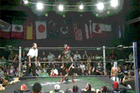 giphy.gif