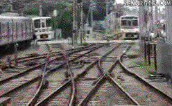giphy-tumblr.gif