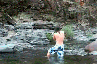 giphy.gif