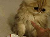 [Image: giphy.gif]