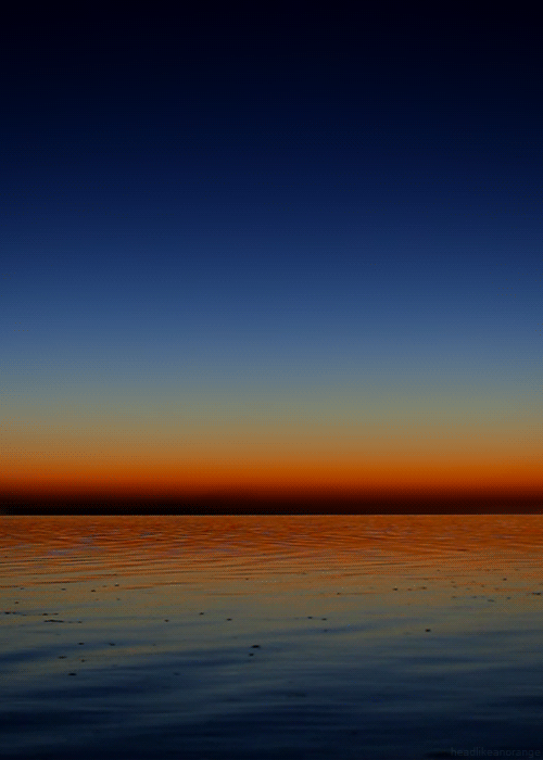 ocean sunsets gif by cheezburger