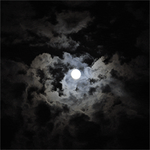 Moon Animated GIF