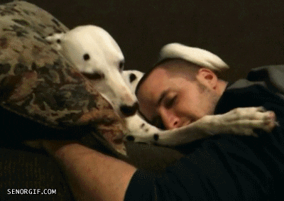 Dog hug