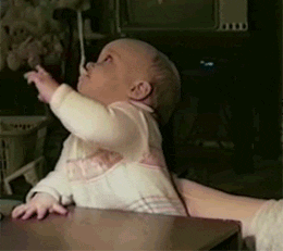 Baby Spoon GIF - Find & Share on GIPHY