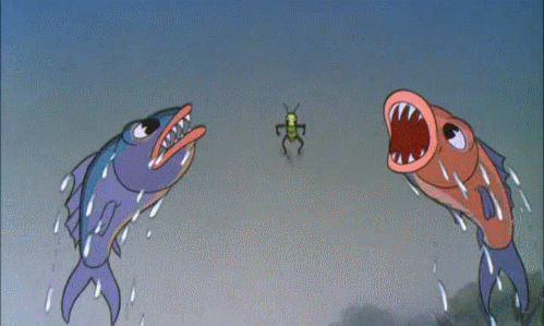 giphy link html5 video gif do