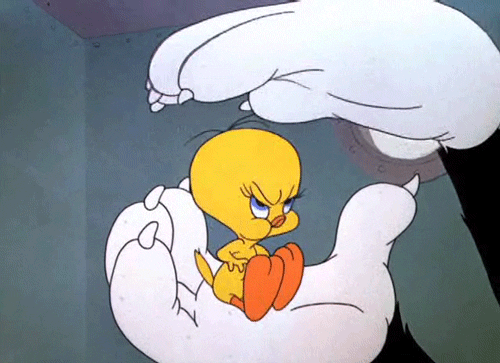 looney tunes tweety bird animated GIF