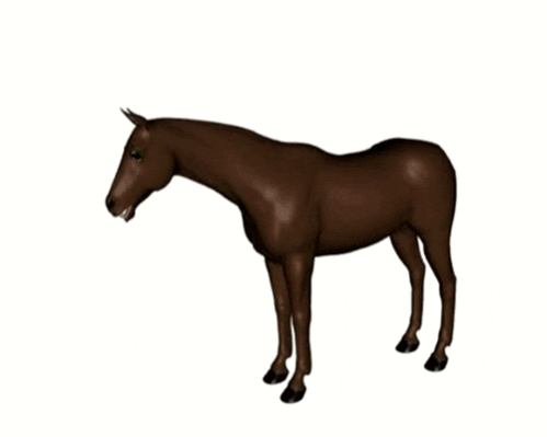 Horse Neck GIF - Find & Share on GIPHY