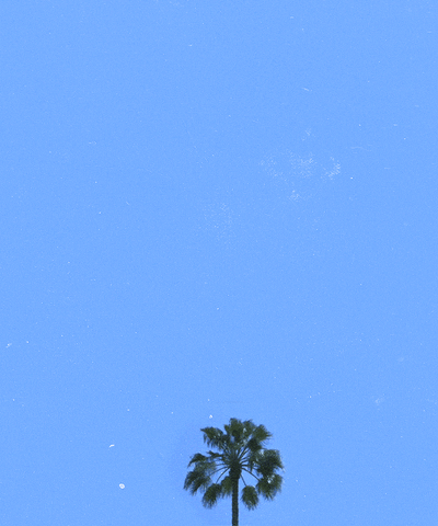 30 seconds to mars gif