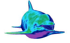 http://media.giphy.com/media/t32FmsjWdz7b2/giphy.gif
