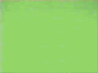 gay culture pickle surprise gif