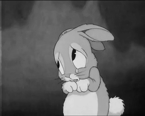 sad crying rabbit tear tear drop animated GIF