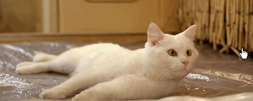http://media.giphy.com/media/ubLDQ1c2wdgsw/giphy.gif