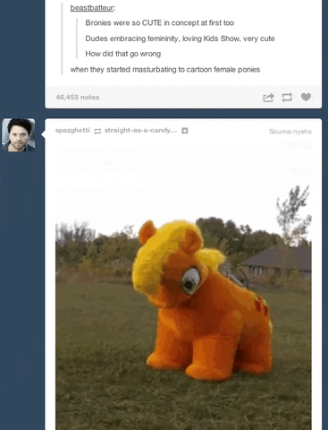 my little pony brony gif