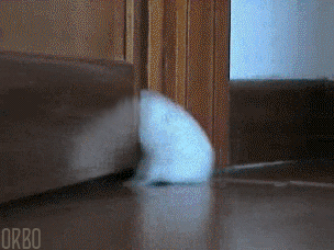 http://media.giphy.com/media/upUtvwZa9z2qQ/giphy.gif