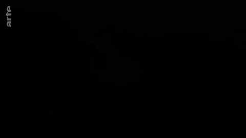giphy-downsized-large.gif