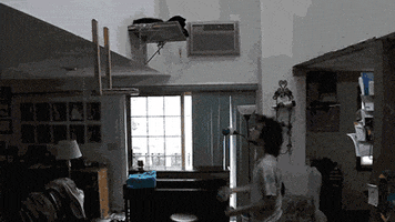 Pet Animated GIF on Giphy